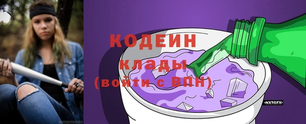 шишки Белокуриха