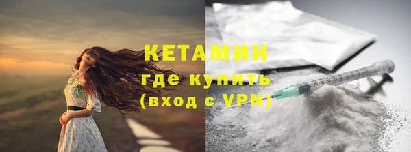 шишки Белокуриха