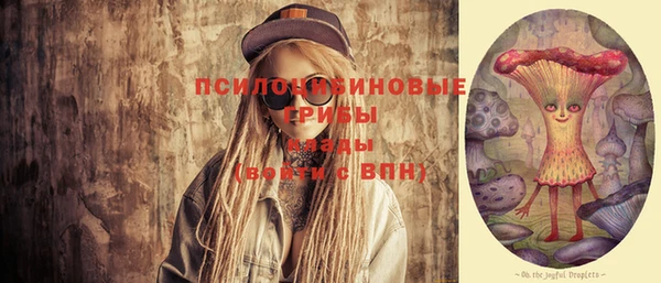 шишки Белокуриха