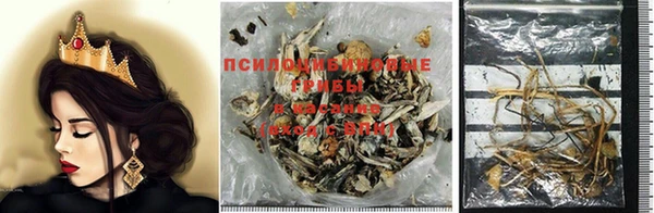 шишки Белокуриха
