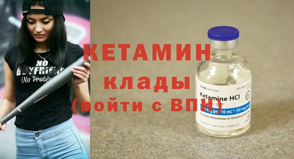 шишки Белокуриха