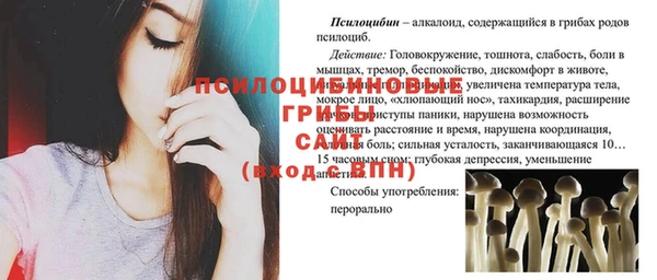 шишки Белокуриха