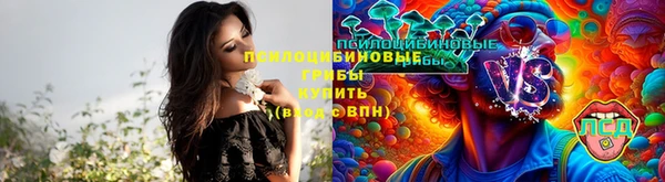 амф Беломорск